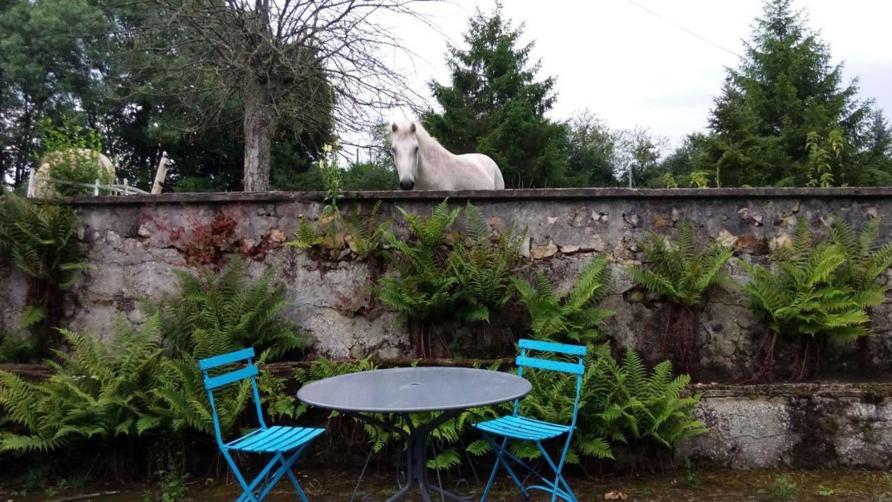 Les Anniquins Villa Ivoy-le-Pré Exterior foto