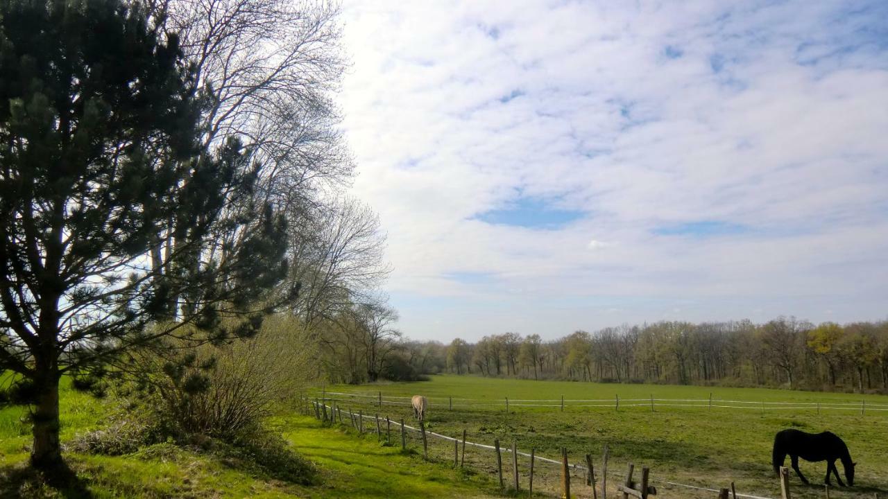 Les Anniquins Villa Ivoy-le-Pré Exterior foto